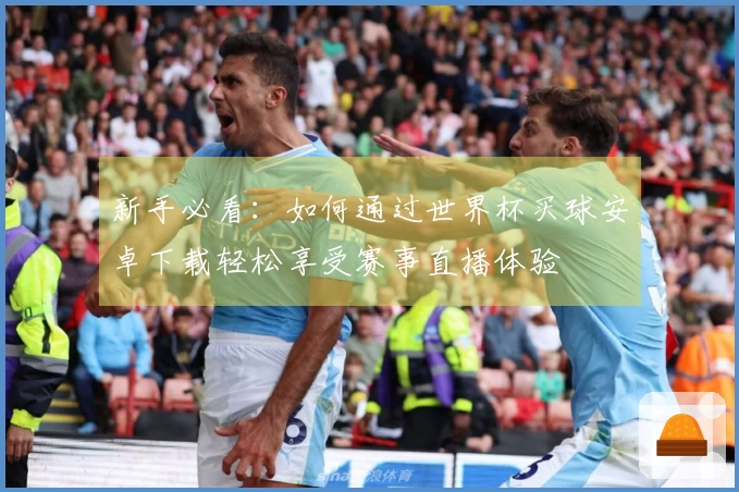 新手必看：如何通过世界杯买球安卓下载轻松享受赛事直播体验