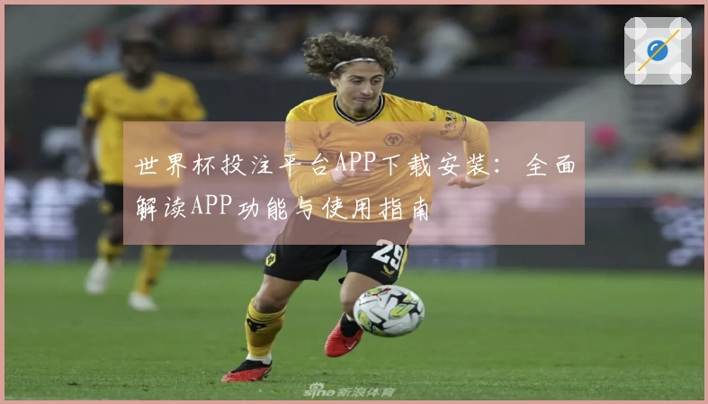 世界杯投注平台APP下载安装：全面解读APP功能与使用指南