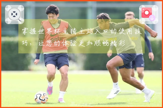 掌握世界杯竞猜主站入口的使用技巧，让您的体验更加顺畅精彩