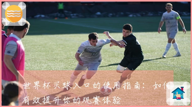 世界杯买球入口的使用指南：如何有效提升你的观赛体验