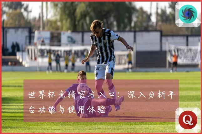 世界杯竞猜官方入口：深入分析平台功能与使用体验