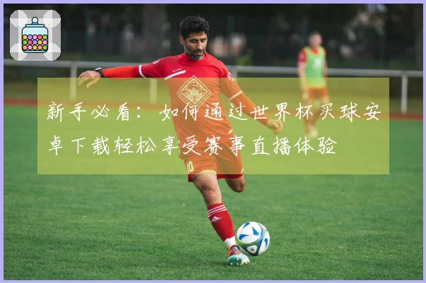 新手必看：如何通过世界杯买球安卓下载轻松享受赛事直播体验